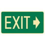 Brady Sign 835837 Exit