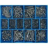 Champion Screws Csk Phillips S/S S/Tapping