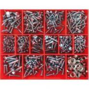 CHAMPION SELF-TAPPING SCREWS PAN & RAISED HD KIT