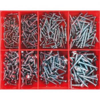 Champion Self-Tapping Screws Pan Head Kit