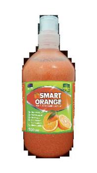 Hand Cleaner Orange Grit 500ml ISGOGHC500