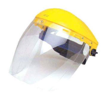 Faceshield Bullet Complete With Visor 226792