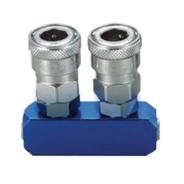 Air Manifold With Qa Coupler SML-2S