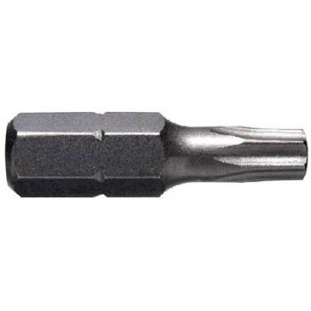 Torx Bit T20 Tamper Proof TXSE2025