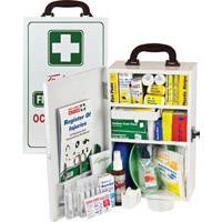 BRADY FIRST AID METAL NATIONAL WORKPLACE KIT WALL MT 873850