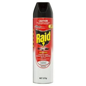 RAID ONE SHOT ODOURLESS SURFACE SPRAY 450G